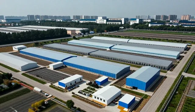 系统稳定性在技术成果转化中的关键作用